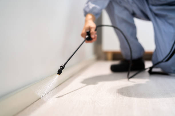 Licensed Pest Control service in Milton, WI - Show Me Pest Control