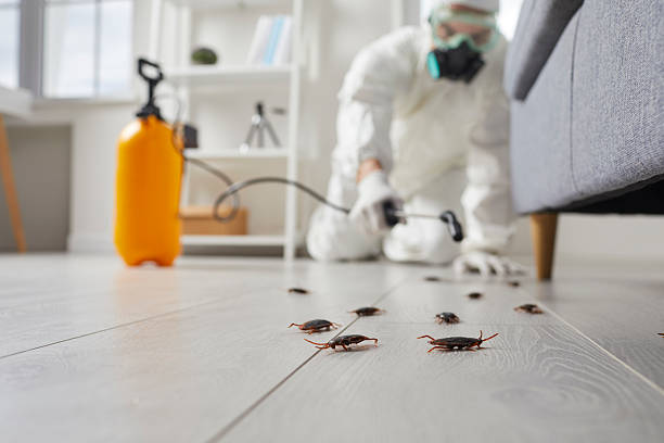 Post-Treatment Bed Bug Interceptor Monitoring in Milton